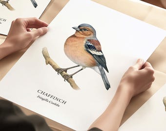 Stampe di uccelli, stampe artistiche di fringuelli, uccelli da giardino, idee regalo per gli amanti degli uccelli, birdwatching, illustrazioni di uccelli, decorazioni murali, regali per la casa