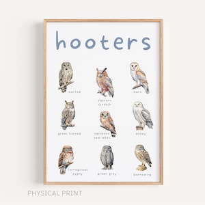 Stampe di uccelli, stampe da parete con uccelli, poster con gufo, stampe di gufi acquerellate, stampe da parete con uccelli umoristici, decorazioni da parete divertenti, stampe da bagno, Hooters