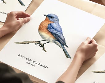 Bird Illustration, Eastern Bluebird, Bird Prints, Garden Birds, Bird Lover Gift, Bird Watching, Wall Decor