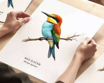 Stampe di uccelli, gruccioni, uccelli da giardino, regalo per gli amanti degli uccelli, birdwatching, illustrazioni di uccelli, stampe di uccelli tropicali, decorazioni artistiche da parete, regali per la casa