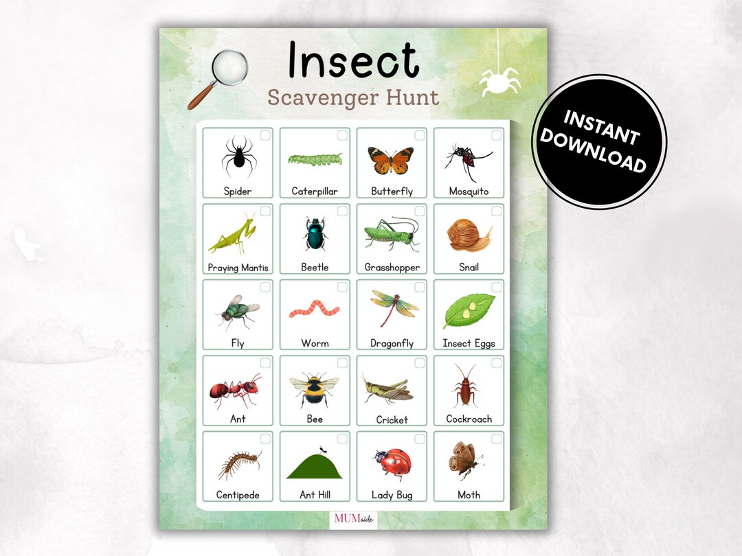 Insect Scavenger Hunt, Kids Activities, Kids Printable Activities, Bug ...