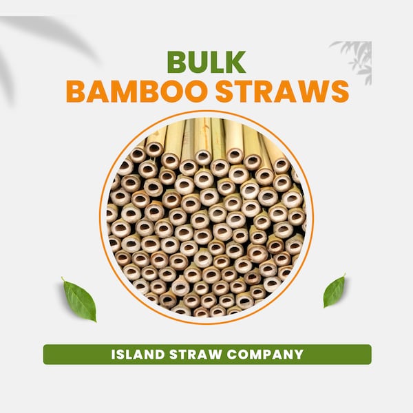 Customized Bulk Bamboo Straws - Does not include linen pouch or straw cleaner | Bamboo straws|  | Eco Friendly Straws
