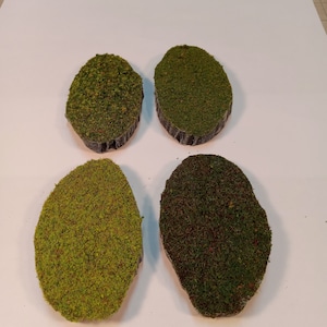 Puede incluir: Cuatro piezas de madera de forma ovalada cubiertas de musgo verde. El musgo es una mezcla de verde claro y oscuro.