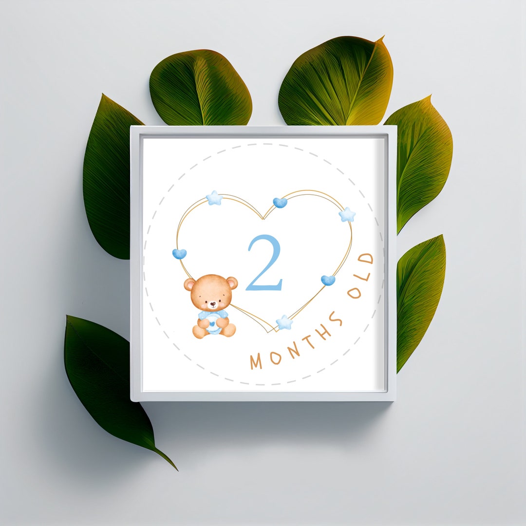 Minimalistic Monthly Milestone Cards, Printable Monthly Milestone Cards ...