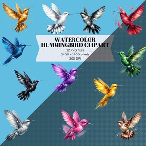 Watercolor Hummingbird Clipart, Hummingbird Clipart, 12 PNG Bird Clipart, Glitter Hummingbird Clipart, Hummingbird PNG, Hummingbird design