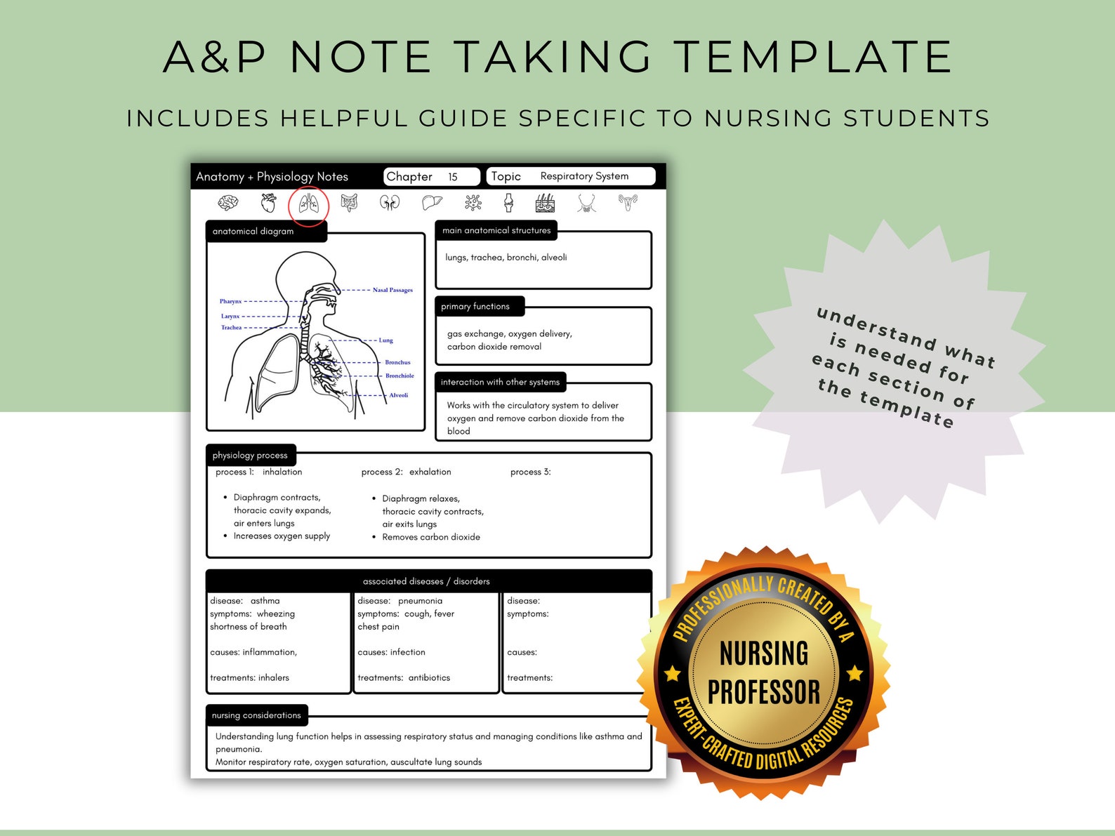 Nursing School Anatomy & Physiology Note Taking Template | Nursing ...