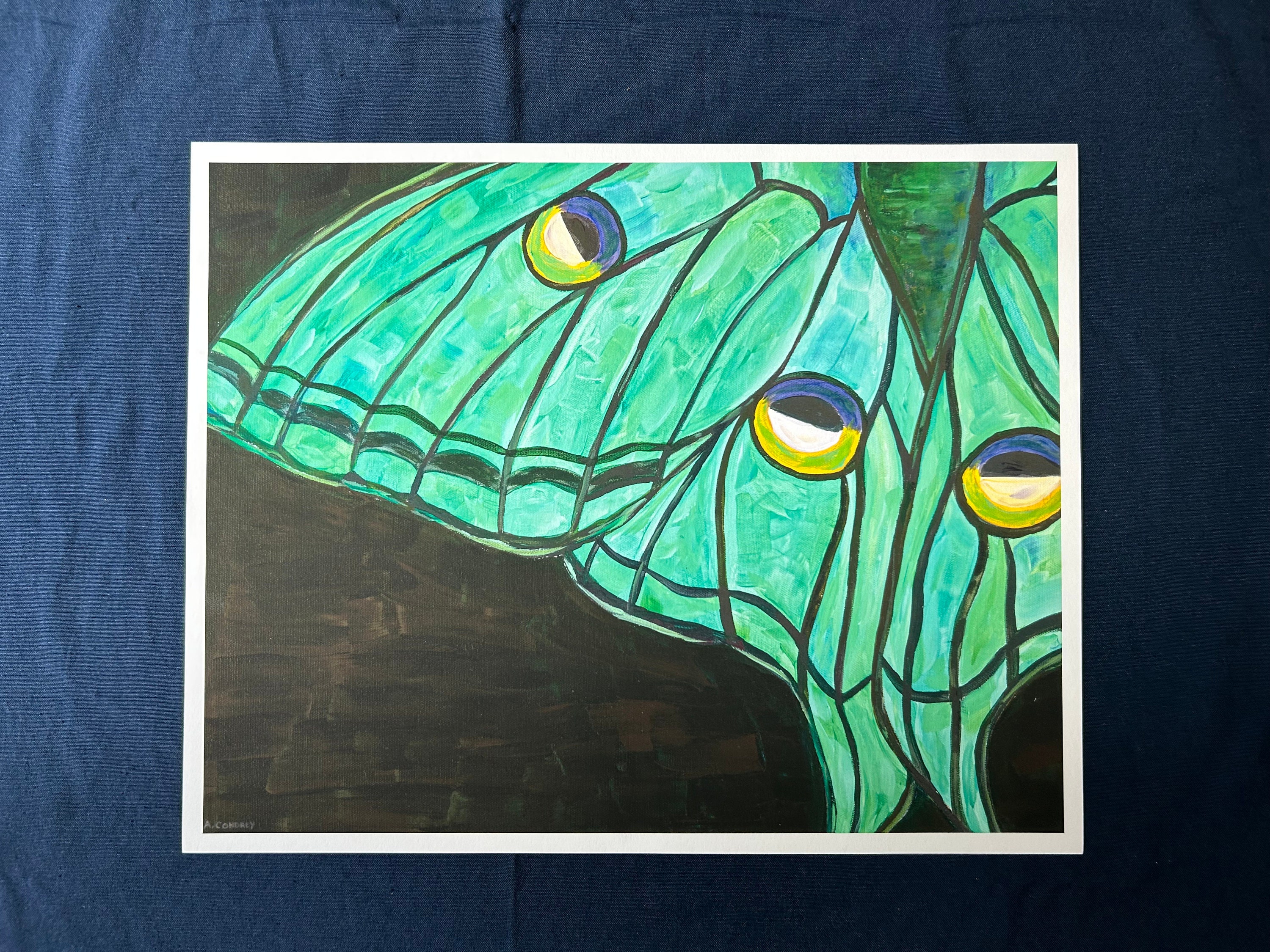 Spanish Luna Moth Print - Etsy