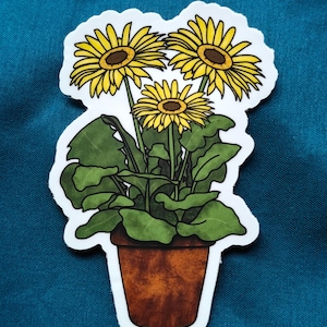 Sticker Trench Daisy / Twenty One Pilots Trench Clancy Daisy / 21Pilots / Banditos / Skeleton Clique