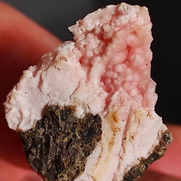 Amazing Pink Rhodochrosite Full Pseudomorphose br the Shell!!