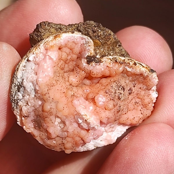 Amazing Rare Full Pink Rhodochrosite Pseudomorphose after Shell!