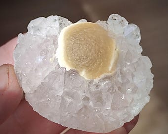 Rare Botryoidal Yellow Fluorite Ball on Quartz.54 x 47 x 19 mm.India
