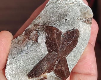 Amazing Staurolite Twin  crystal from Kola Peninsula!!!