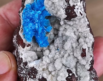 Stunning Blues Pentagonite crystals on Stilbite from India!!!