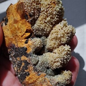 Puede incluir: Un cúmulo de cristales blancos y puntiagudos sobre una roca marrón, naranja y negra. Los cristales están agrupados en una formación densa.