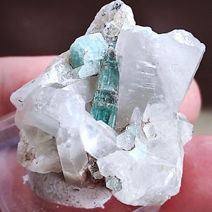 Peut inclure: Gros plan sur un spécimen minéral présentant une formation cristalline turquoise allongée vibrante, entourée de structures cristallines claires. Le spécimen est posé sur un fond neutre, soulignant la beauté naturelle du minéral.