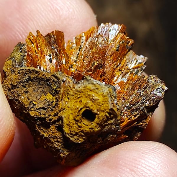 Amazing  Rare Ginger Santabarbaraite Full Pseudomorphose by the Vivianite crystals !!!