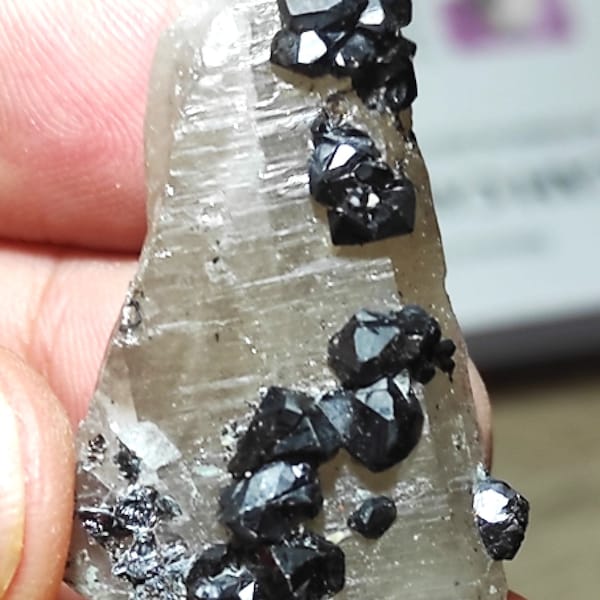 Amazing black Cassiterite Twin crystals on Smoky Quartz!!