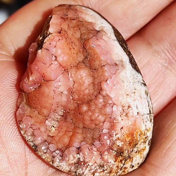 Stunning Rare Pink Rhdochrosite Full Pseudomorphose by the Shell!!!!