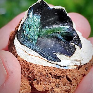 Price includes duties in the USA!TOP!!!Green Vivianite crystals on black Psilomelane in the Shell!