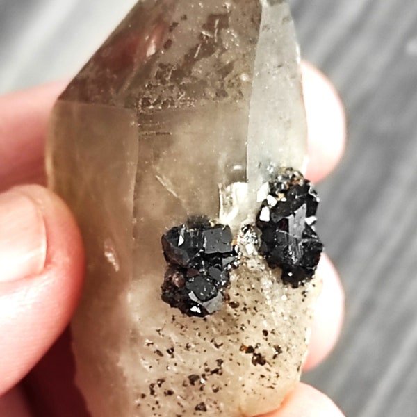 Amazing black Cassiterite Twin crystals on Smoky Quartz!!