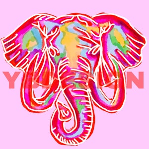 Preppy Digital Prints