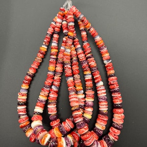 8x16mm Spiny Oyster Shell Mix Color with Wampum Shell