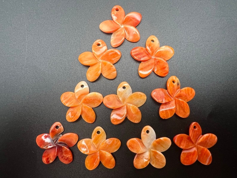 Spiny Oyster Flower Loose Pieces image 7