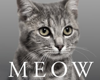 Meow: A Novel - Ungekürztes Hörbuch