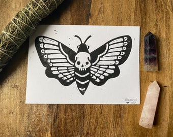 moth