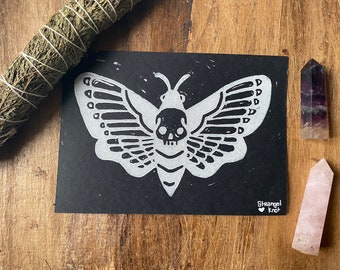 moth