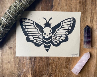 moth