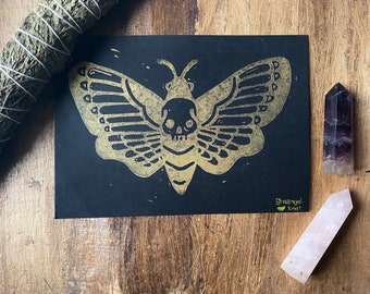 moth