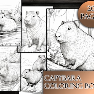 20 Capybara Coloring Pages | Coloring Pages for Kids and Adults | Digital Download, Printable PDF | Capybaras in Different Environments