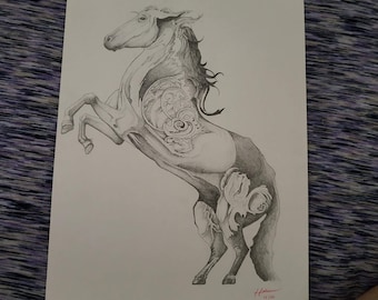 Horse Pencil Drawing