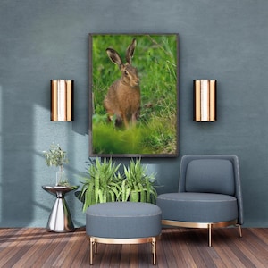 Wild Brown Hare in Spring Meadow – Wildlife Photography Print, British Nature Wall Art, Countryside Decor, Hare Lover Gift