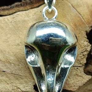 Puede incluir: Un colgante de plata con forma de cabeza de p&aacute;jaro. El colgante est&aacute; muy pulido y refleja la luz. Est&aacute; colgado de una cadena de plata.