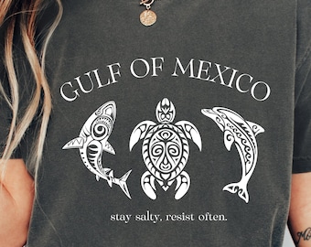 Gulf of Mexico Shirt, Patriotic Unisex Tee, American Gulf of Mexico Shirt, American Pride Tee Patriotic, Map Lover T-Shirt, Comfort Colors®