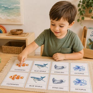 Op de afbeelding: Een kind wijst naar een kaart met een aquarel clownvis. De kaarten tonen verschillende zeedieren, waaronder een blauwe vinvis, een pijlstaartrog en een octopus. Educatief materiaal is op een houten tafel geplaatst.