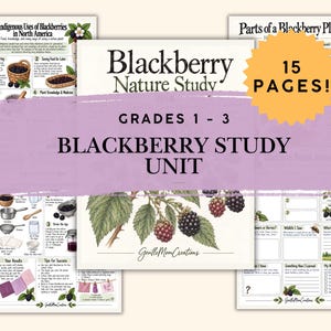 Op de afbeelding: Een 15-pagina tellende bramen-studie-eenheid voor groep 3-5, met educatieve werkbladen voorzien van botanische illustraties van bramenplanten, diagrammen van plantendelen, historisch inheems gebruik en begeleide natuur-dagboekactiviteiten.