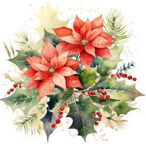 Clipart de flores de Natal em aquarela, 20 imagens de alta qualidade, pacote de buquês de Natal, uso comercial, PNGs/JPGs/SVGs, poinsétia, rosas