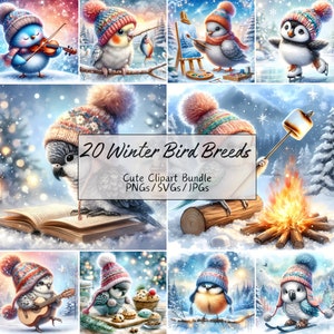 Pacote de clipart de raças de pássaros de inverno fofos, imagens de clipart festivas em aquarela, 20 raças de pássaros diferentes, PNGs e JPGs de alta qualidade