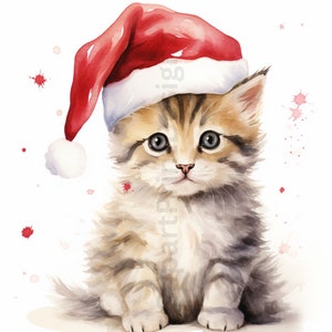 May include: A cute kitten wearing a red Santa hat with white trim. The kitten has brown and white fur and is sitting on a white background with red and pink watercolor splatters.