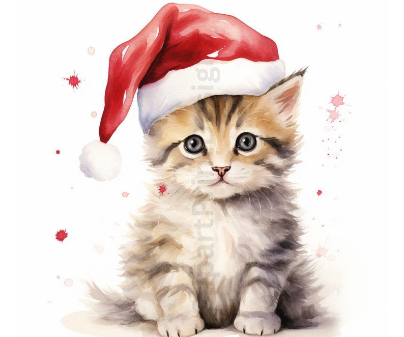 May include: A cute kitten wearing a red Santa hat with white trim. The kitten has brown and white fur and is sitting on a white background with red and pink watercolor splatters.