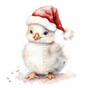 May include: A white fluffy chick wearing a red Santa hat with a white pom-pom. The chick is standing on a light brown surface with red watercolor splatters.