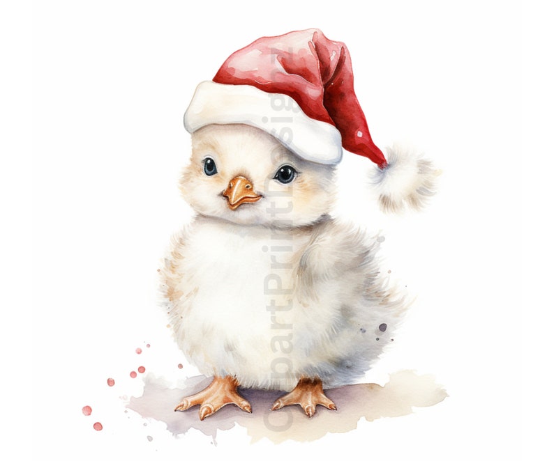 May include: A white fluffy chick wearing a red Santa hat with a white pom-pom. The chick is standing on a light brown surface with red watercolor splatters.