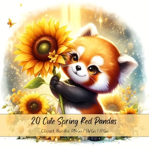 Bundle de cliparts mignon printemps pandas roux, Images clipart aquarelle, fichiers Panda de haute qualité, graphiques numériques animaux drôles, téléchargement unique
