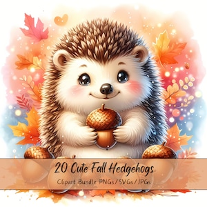 Lindo paquete de imágenes prediseñadas de erizos de otoño, Imágenes prediseñadas de erizo de otoño de acuarela, Archivos de animales de alta calidad, Gráficos digitales de animales divertidos