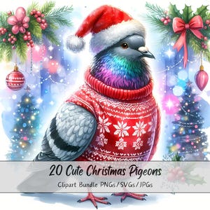 Lindo paquete de imágenes prediseñadas de palomas navideñas, imágenes prediseñadas de palomas navideñas, archivos de animales de acuarela de alta calidad, gráficos de animales festivos, invierno