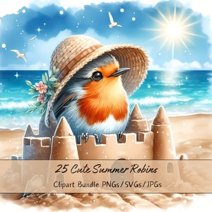 Lindo paquete de imágenes prediseñadas de Robins de verano, imágenes prediseñadas de Robin de acuarela, archivos de animales de alta calidad, gráficos de animales digitales, descarga única