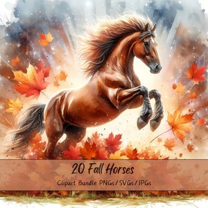 Lindo paquete de imágenes prediseñadas de caballos de otoño, Imágenes prediseñadas de caballos de acuarela, Archivos de animales de alta calidad, Gráficos digitales divertidos de animales, Otoño